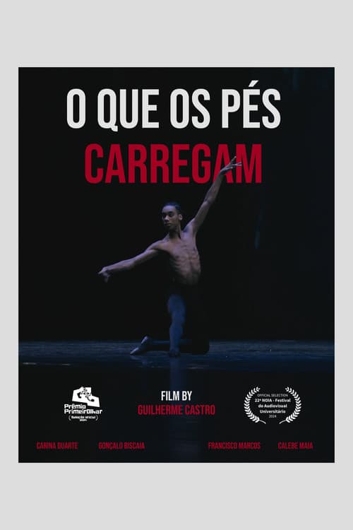 what do feet carry?