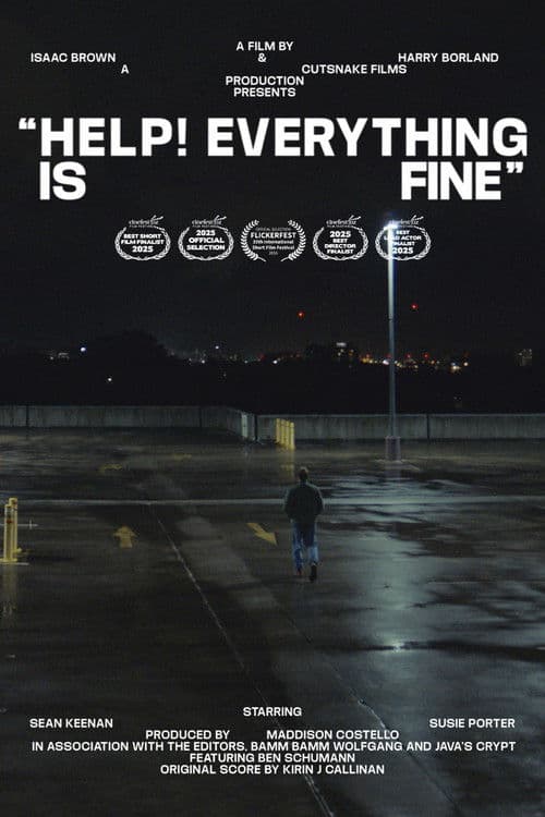 Help! Everything is Fine