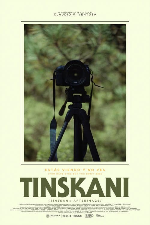 Tinskani: Afterimage
