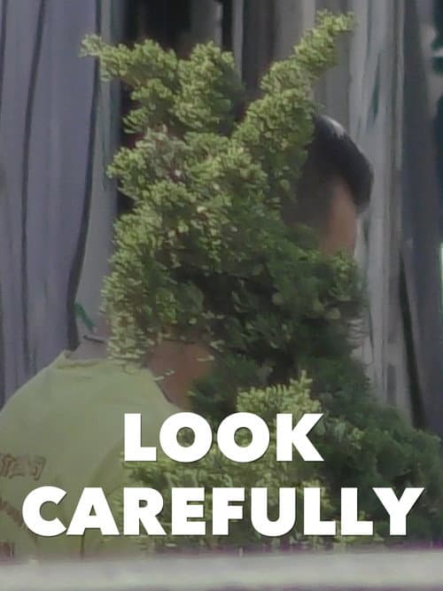 Look Carefully