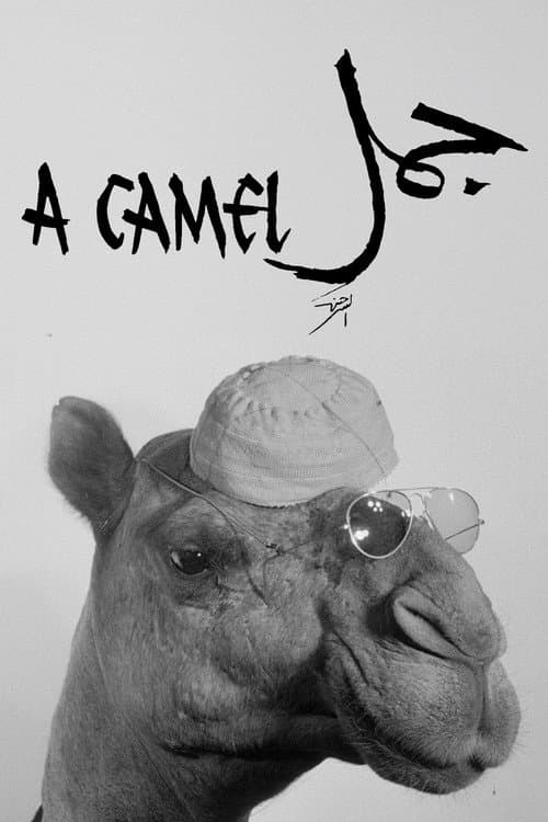 A Camel
