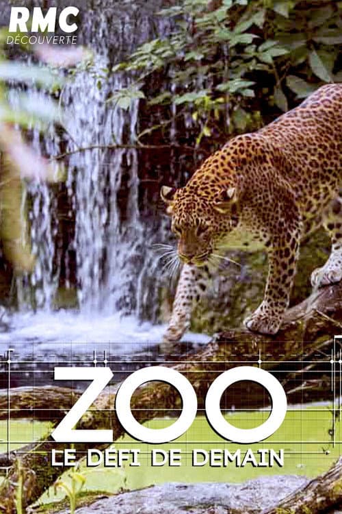 Zoo : le défi de demain