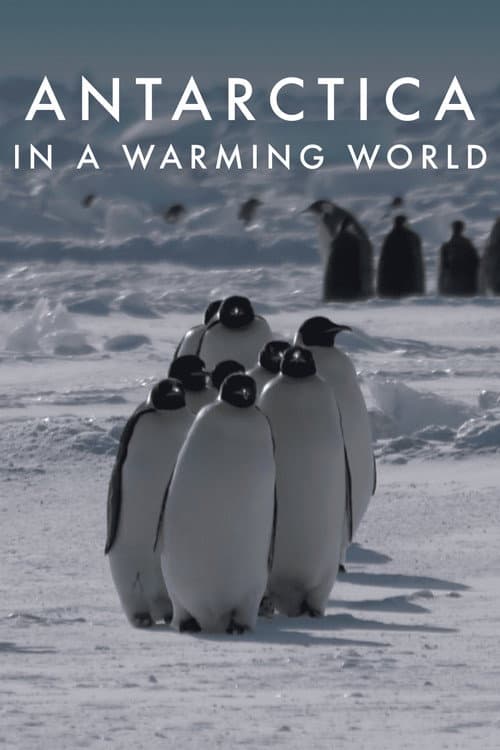 Antarctica in a Warming World