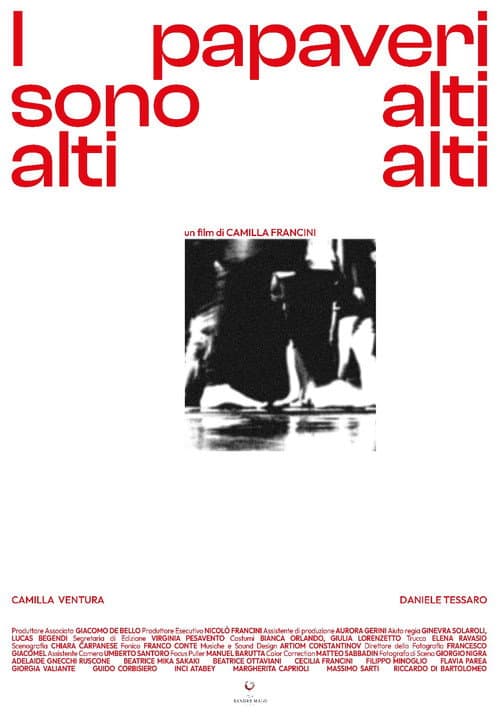 I Papaveri Sono Alti Alti Alti