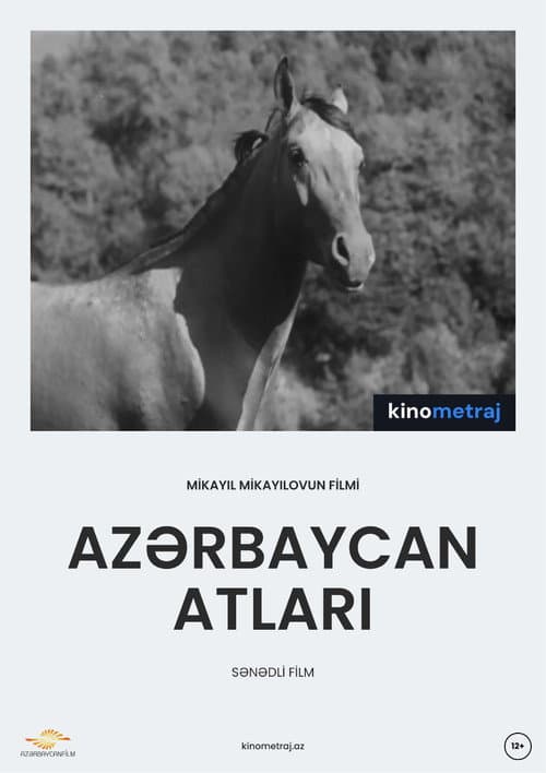 Azerbaijani Horses