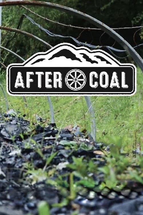 After Coal: Welsh and Appalachian Mining Communities