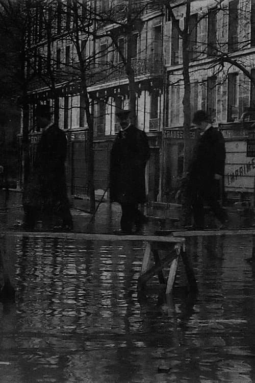 Paris unter Hochwasser