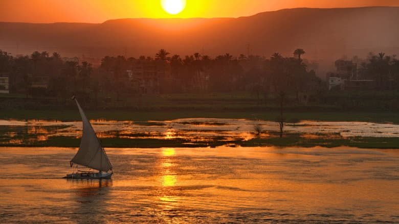 Wild Nile