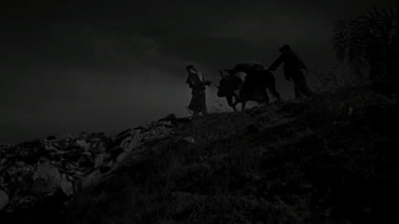 The Young and the Damned