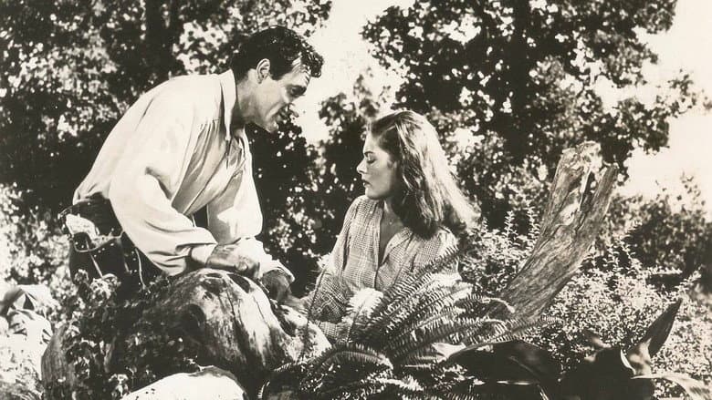 Beauty and the Bandit