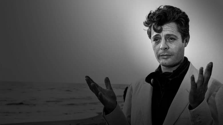 Marcello Mastroianni, irrésistiblement libre