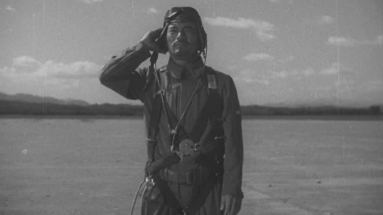 Colonel Kato's Falcon Squadron