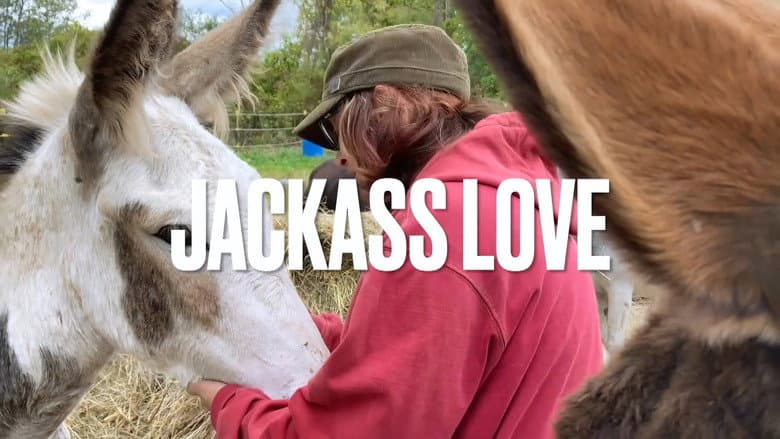 Jackass Love