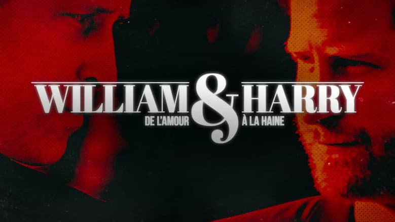 William et Harry : de l'amour à la haine