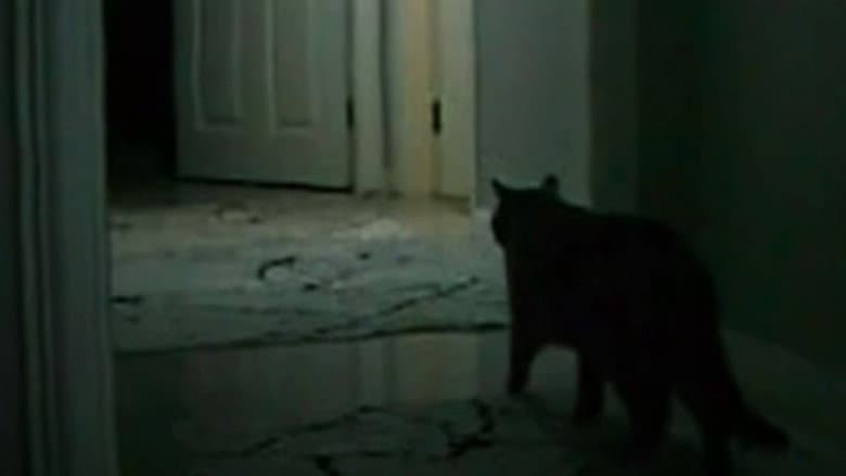 the instinct