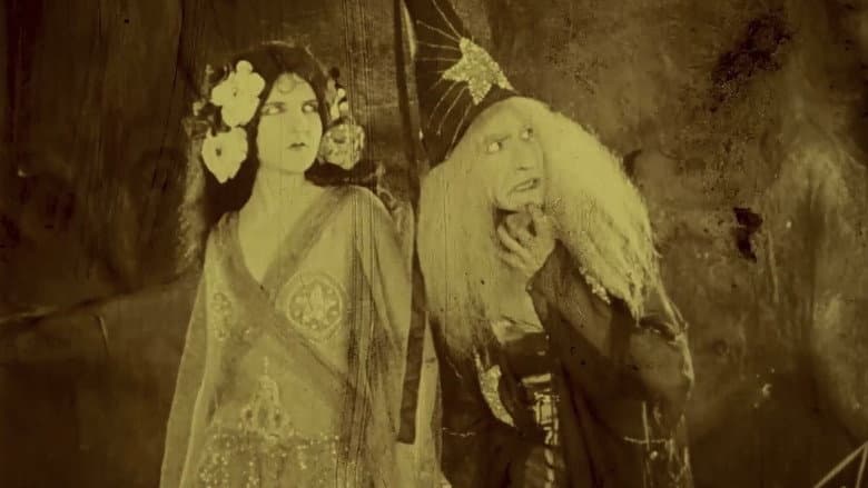 Folly of Vanity