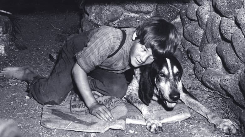 A Boy and His Dog