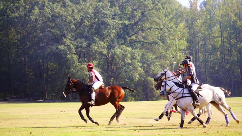 From Rodeo to Polo: The 1st HBCU Polo Team