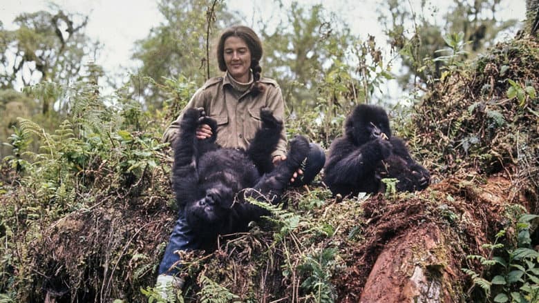 Dian Fossey: Ihr Leben für die Gorillas