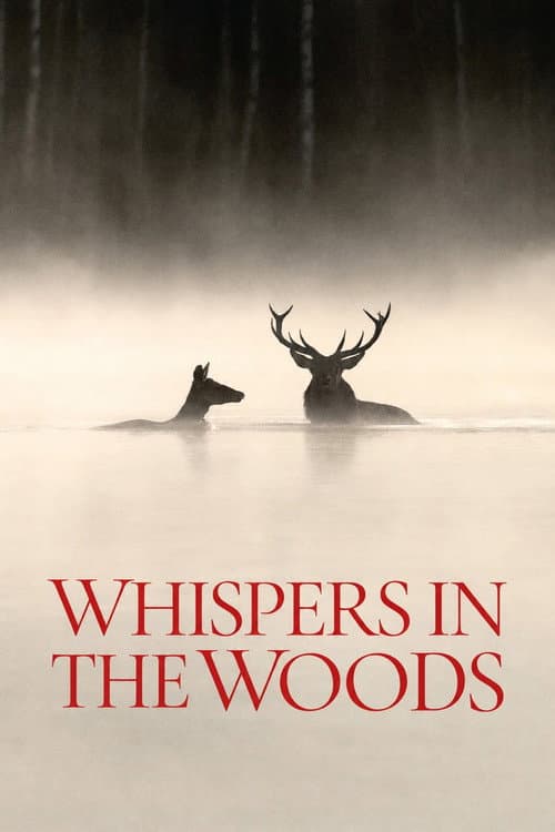 Whispers in the Woods