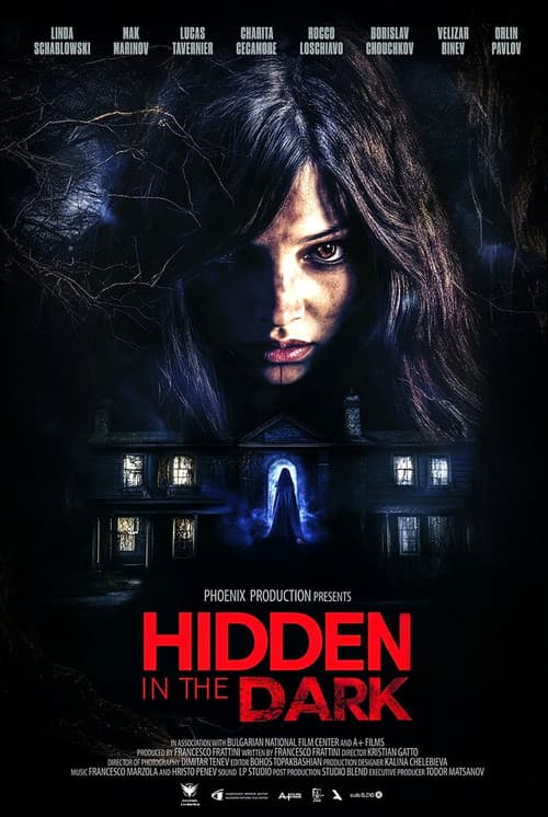 Hidden in the Dark