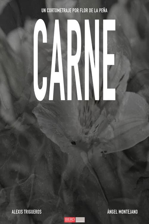 CARNE