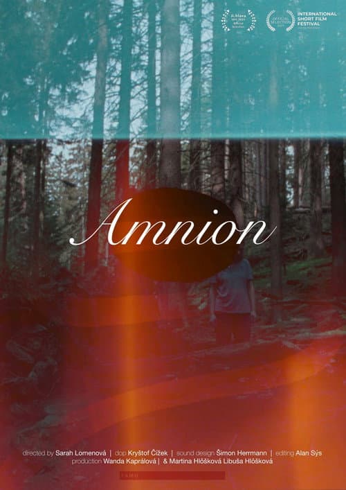 Amnion