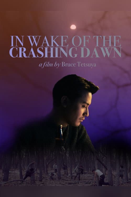 In Wake of the Crashing Dawn