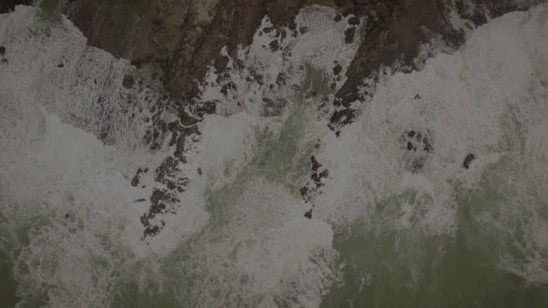 The Waves Saga