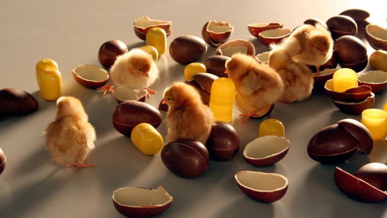 Food Design
