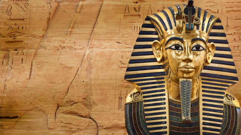 King Tut: Forgotten Treasure
