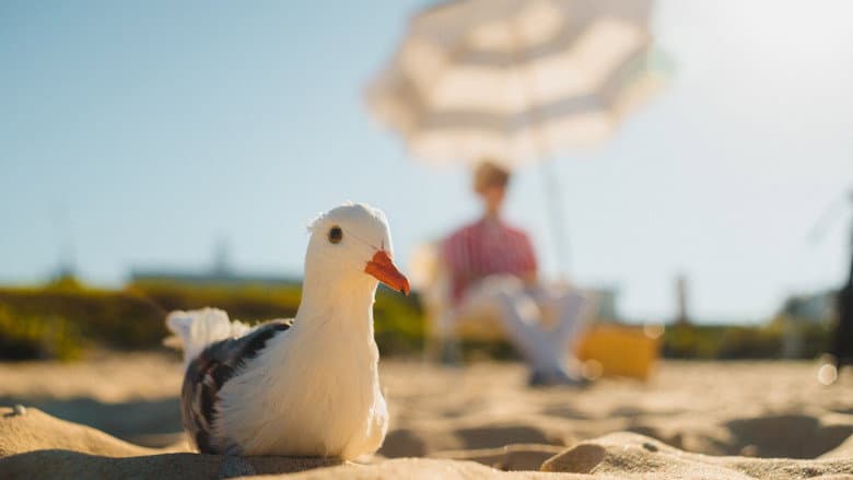 Seagulls & Stripes