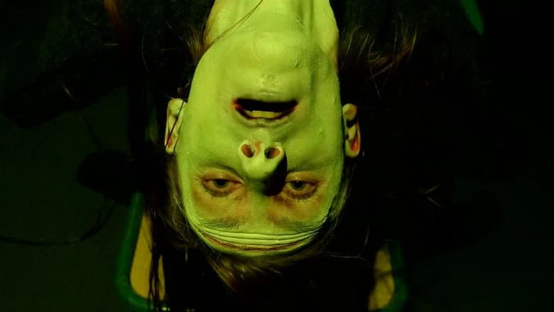 Frankenstein Created Robyn